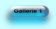 Gallerie1